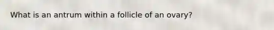 What is an antrum within a follicle of an ovary?