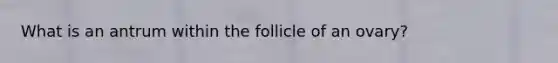 What is an antrum within the follicle of an ovary?