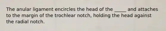 The anular ligament encircles the head of the _____ and attaches to the margin of the trochlear notch, holding the head against the radial notch.