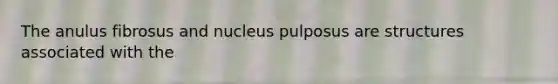 The anulus fibrosus and nucleus pulposus are structures associated with the