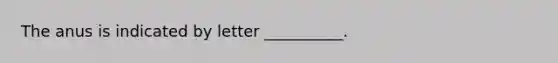 The anus is indicated by letter __________.