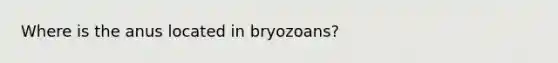 Where is the anus located in bryozoans?