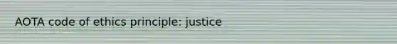 AOTA code of ethics principle: justice