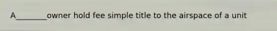 A________owner hold fee simple title to the airspace of a unit