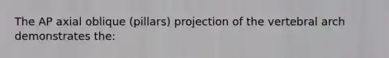 The AP axial oblique (pillars) projection of the vertebral arch demonstrates the: