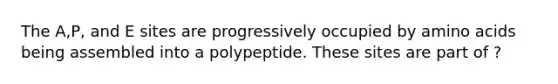 The A,P, and E sites are progressively occupied by <a href='https://www.questionai.com/knowledge/k9gb720LCl-amino-acids' class='anchor-knowledge'>amino acids</a> being assembled into a polypeptide. These sites are part of ?