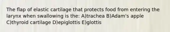 The ﬂap of elastic cartilage that protects food from entering the larynx when swallowing is the: A)trachea B)Adam's apple C)thyroid cartilage D)epiglottis E)glottis