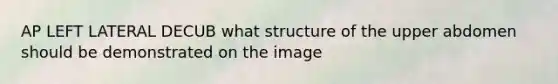 AP LEFT LATERAL DECUB what structure of the upper abdomen should be demonstrated on the image