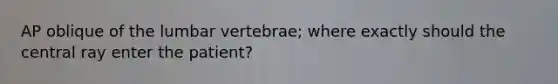 AP oblique of the lumbar vertebrae; where exactly should the central ray enter the patient?