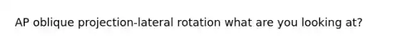 AP oblique projection-lateral rotation what are you looking at?