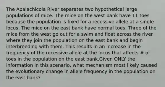 The Apalachicola River separates two hypothetical large populations of mice. The mice on the west bank have 11 toes because the population is fixed for a recessive allele at a single locus. The mice on the east bank have normal toes. Three of the mice from the west go out for a swim and float across the river where they join the population on the east bank and begin interbreeding with them. This results in an increase in the frequency of the recessive allele at the locus that affects # of toes in the population on the east bank.Given ONLY the information in this scenario, what mechanism most likely caused the evolutionary change in allele frequency in the population on the east bank?