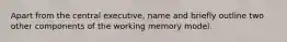 Apart from the central executive, name and briefly outline two other components of the working memory model.