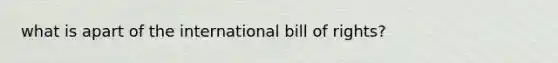 what is apart of the international bill of rights?