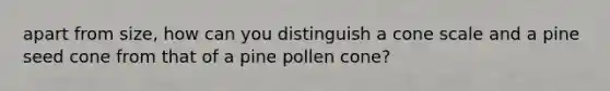 apart from size, how can you distinguish a cone scale and a pine seed cone from that of a pine pollen cone?