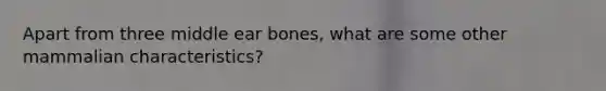 Apart from three middle ear bones, what are some other mammalian characteristics?