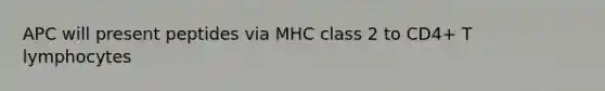 APC will present peptides via MHC class 2 to CD4+ T lymphocytes