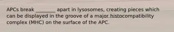 APCs break ________ apart in lysosomes, creating pieces which can be displayed in the groove of a major histocompatibility complex (MHC) on the surface of the APC.