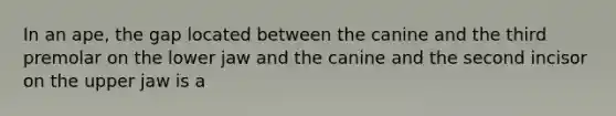 In an ape, the gap located between the canine and the third premolar on the lower jaw and the canine and the second incisor on the upper jaw is a