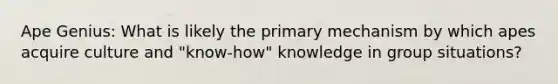 Ape Genius: What is likely the primary mechanism by which apes acquire culture and "know-how" knowledge in group situations?