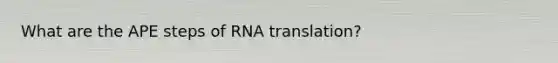 What are the APE steps of RNA translation?