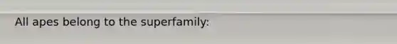 All apes belong to the superfamily: