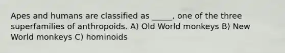 Apes and humans are classified as _____, one of the three superfamilies of anthropoids. A) Old World monkeys B) New World monkeys C) hominoids