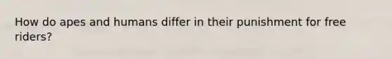How do apes and humans differ in their punishment for free riders?