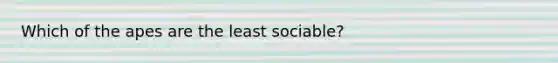 Which of the apes are the least sociable?