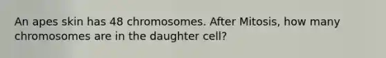 An apes skin has 48 chromosomes. After Mitosis, how many chromosomes are in the daughter cell?