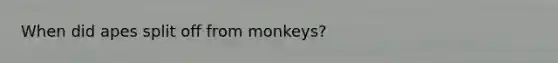 When did apes split off from monkeys?