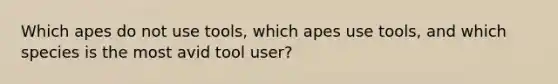 Which apes do not use tools, which apes use tools, and which species is the most avid tool user?