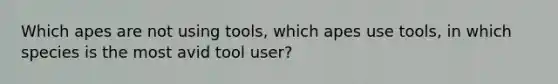 Which apes are not using tools, which apes use tools, in which species is the most avid tool user?