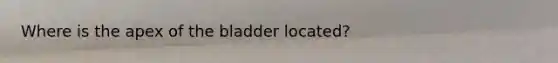 Where is the apex of the bladder located?