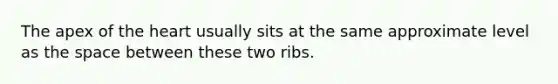 The apex of the heart usually sits at the same approximate level as the space between these two ribs.