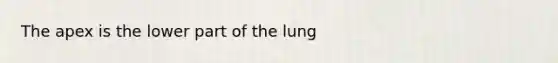 The apex is the lower part of the lung