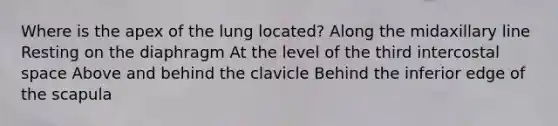 Where is the apex of the lung located? Along the midaxillary line Resting on the diaphragm At the level of the third intercostal space Above and behind the clavicle Behind the inferior edge of the scapula