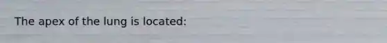 The apex of the lung is located: