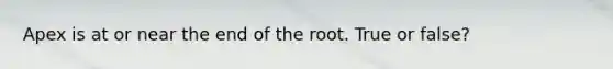 Apex is at or near the end of the root. True or false?