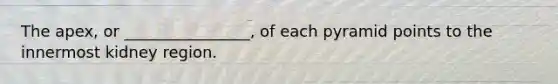 The apex, or ________________, of each pyramid points to the innermost kidney region.
