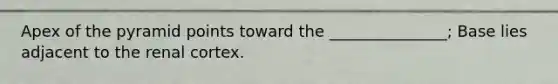 Apex of the pyramid points toward the _______________; Base lies adjacent to the renal cortex.