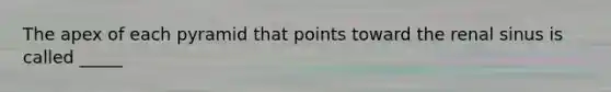 The apex of each pyramid that points toward the renal sinus is called _____