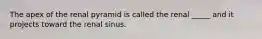 The apex of the renal pyramid is called the renal _____ and it projects toward the renal sinus.