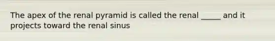 The apex of the renal pyramid is called the renal _____ and it projects toward the renal sinus