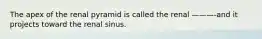 The apex of the renal pyramid is called the renal ———-and it projects toward the renal sinus.