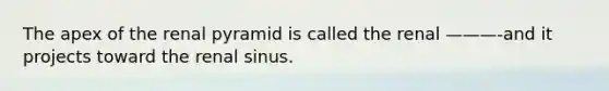 The apex of the renal pyramid is called the renal ———-and it projects toward the renal sinus.