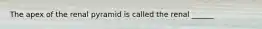 The apex of the renal pyramid is called the renal ______