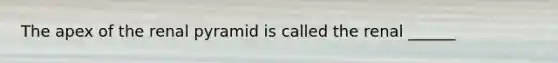 The apex of the renal pyramid is called the renal ______