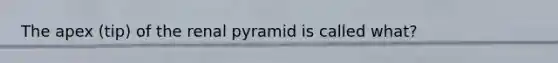 The apex (tip) of the renal pyramid is called what?