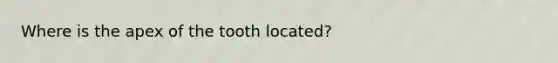 Where is the apex of the tooth located?