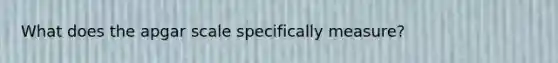 What does the apgar scale specifically measure?